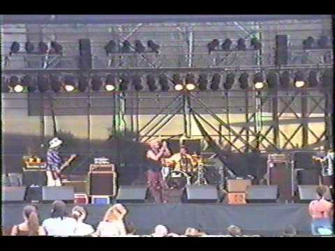 Tim Korry w/Rhinocerotic Live at Summerfest