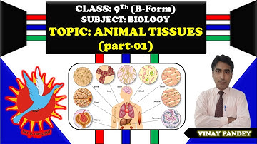 Animal Tissues (Part I): Biology by VKP Sir for form B(Class 9) VBS