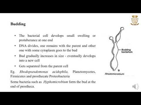 Modes of Reproduction