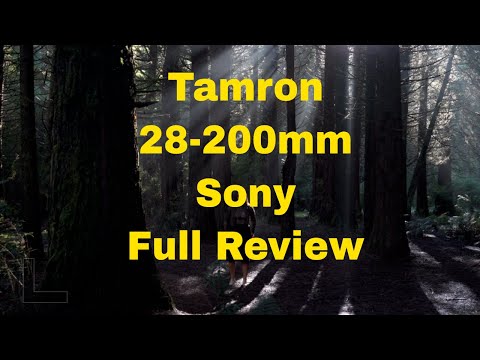 Tamron 28-200mm for Sony full review with the Sony a9, a7iii & a6400