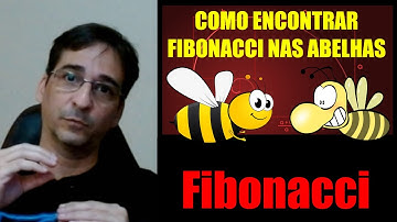 Como encontrar Fibonacci nas abelhas - #sabeprogramar