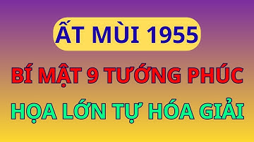 ẤT MÙI 1955: BÍ MẬT 9 TƯỚNG PHÚC! Sở Hữu 1 Trong Số Đó, Họa Lớn TỰ HÓA GIẢI, HƯỞNG LỘC VÔ BIÊN.