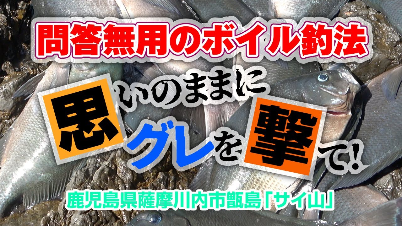 問答無用のボイル釣法 思いのままにグレを撃て！ 鹿児島県薩摩川内市甑島「サイ山」