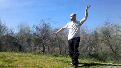 JRQ Baguazhang 4th Kua