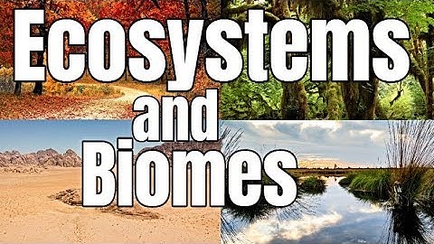 Ecosystems and Biomes | Classroom Learning Video