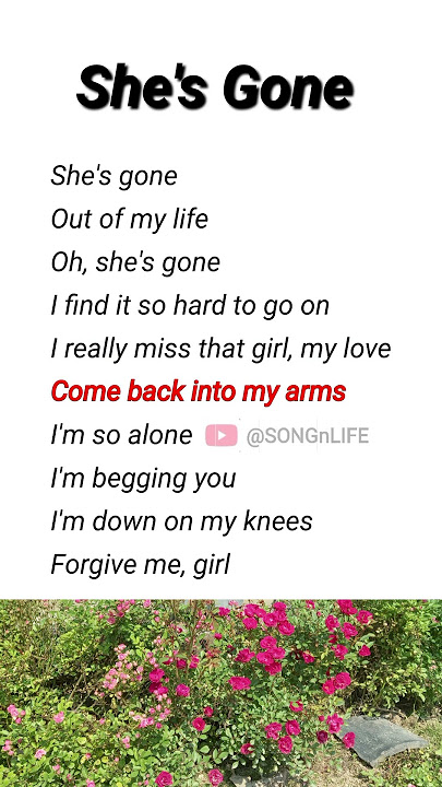 She's Gone | Steelheart