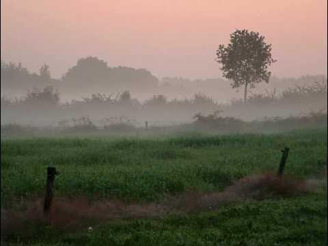 Boudewijn de Groot - Avond (High Quality)