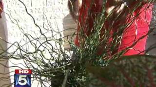 WTTG Fox5  08/13/2009 Late Summer Garden Tips