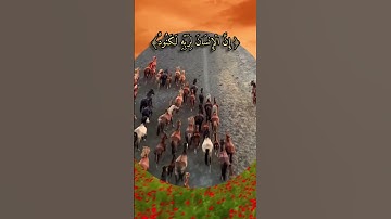 سورة العاديات آية الرزق والفرج بإذن الله تعالى
