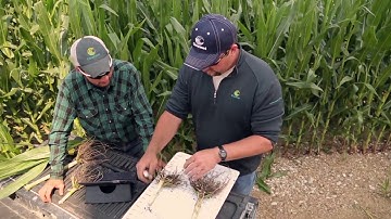 Channel Seedsman help growers minimize risk with Climate Fieldview