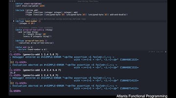 Common Lisp Study Group: Types (Part II)