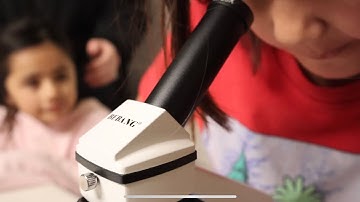 Bebang Microscope: The Ultimate Tool for Curious Minds - Unboxing and Review