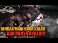 Menjinakkan Kuda Sandel Yang Agak LIARR!! [Train a horse]