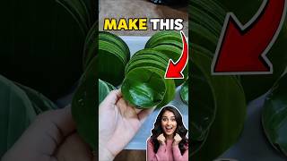 Leaf Bowl ~mini wood toy/wood working art skills/hand craft ideas