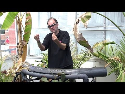 Steve Mann&#039;s Hydraulophone