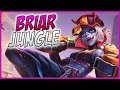 3 minute briar guide  a guide for league of legends