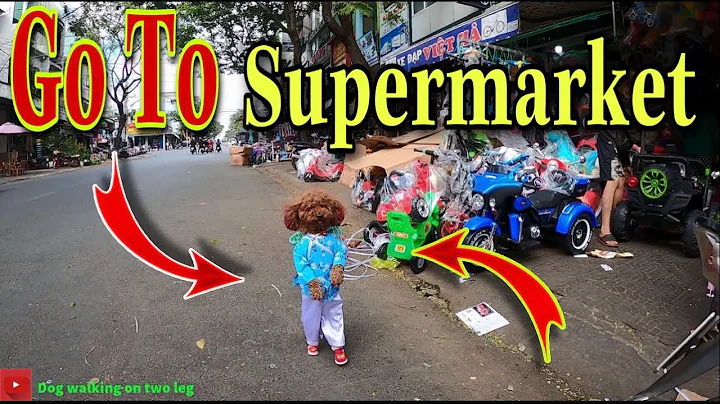 Dog go on two feet to the supermarket to buy things to help their mother