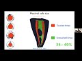 Ce webinar anatomically driven endodontics with dr chafic safi and xp3d from brasseler usa