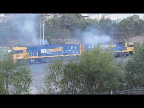 Video: Mød Smokey, Super-Purrer: Louder Than A Locomotive Men Er Hun I Stand Til At Springe Høje Bygninger?