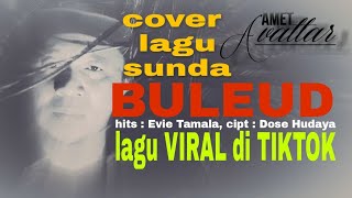 Download Lagu BULEUD lagu viral di tiktok ( cover amet avattar ) MP3