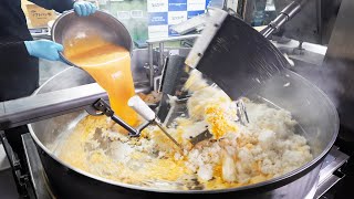 Giant Fried Rice Machine 巨大炒飯マシーン Food Industry Machines 卵割り機 フルーツカット 餃子 チャーハン 食品機械