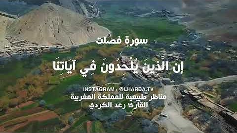 سورة فصلت {إن الذين يلحدون في أياتنا لا يخفون علينا}   القارئ رعد الكردي