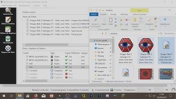Tuto : Assembler un fichier MKV multi-pistes avec MKVToolNix