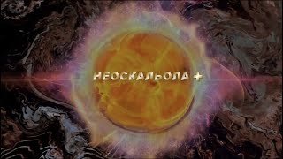 НЕОСКАЛЬОЛА+ (каменное покрытие)