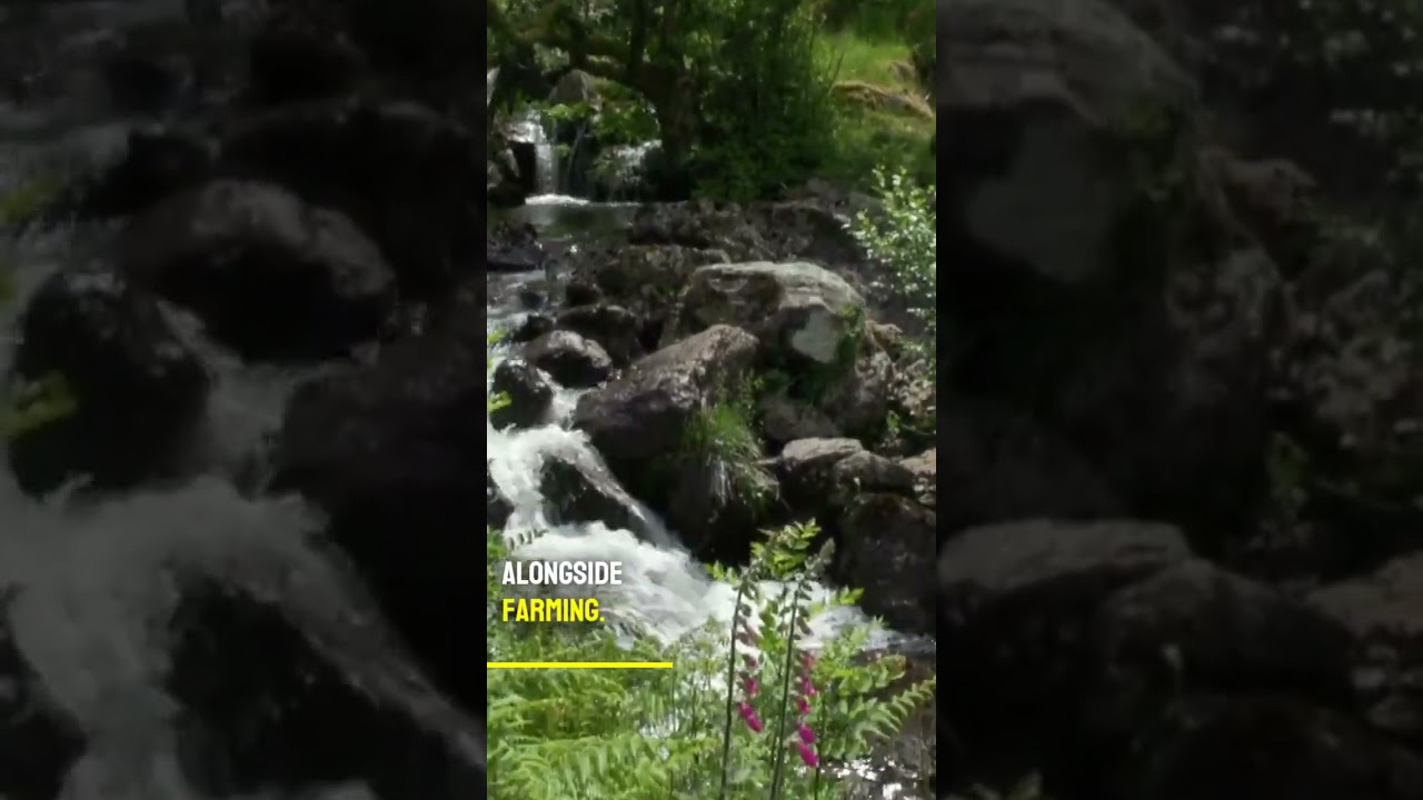 Managing upland farms