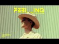 Miniature de la vidéo de la chanson The Feeling (The Avener And Adam Trigger Remix)