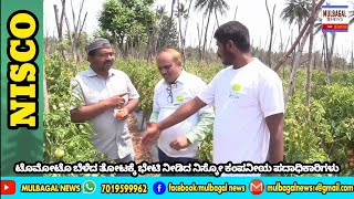 NISCO COMPANY TOMATO CROP AT SHETTIKALLU NEAR K۔BYPALLI CONVERSATION WITH TEAM NISCO