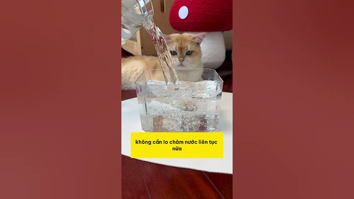 Không ngờ máy rẻ thế mà chất lượng như hàng cao cấp #shopthucung #fyp #pet #cat #dog #cute