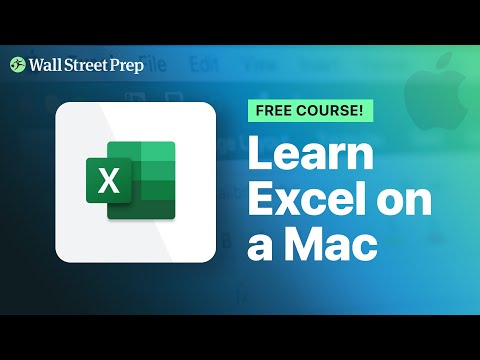 Excel on a Mac: ISTEXT and ISNUMBER