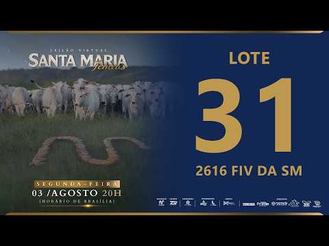 LOTE 31 FSM A2616