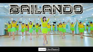 [토요강사동호회] Bailando LineDance | 초급라인댄스 | 바일란도 라인댄스 | 챔프라인댄스 |  010 8833 4921 | 강남라인댄스