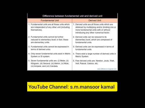 Fundamental Unit Vs