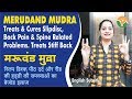 Merudand mudra    cures slipdisc back  spine problems     
