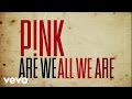 P!nk - Are We All We Are (Official Lyric Video)