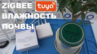 Датчик влажности почвы ZigBee для умного дома Tuya SmartLife Digma от Zemismart и новый ZigBee шлюз