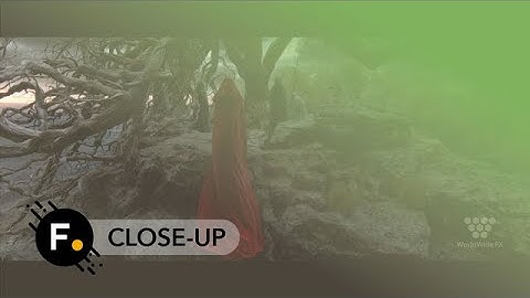 Discover the power of this Lighting and Look Development tool in your VFX pipeline!