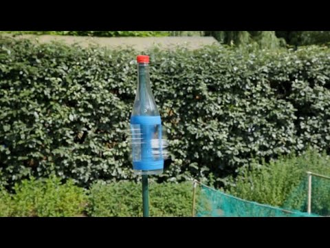 Video: Espantapájaros en el jardín: creación de espantapájaros de jardín con niños