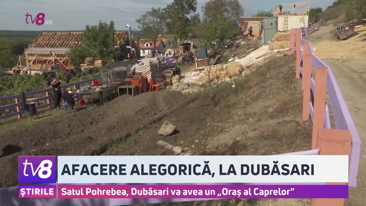 O idee năstrușnică, într-un plan de afaceri: Satul Pohrebea va avea un oraș al caprelore