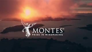 Montes Wines Portugues