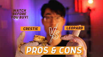 Pros and Cons of Owning Leopard Gecko VS Crested Gecko