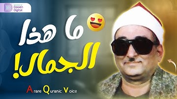 تلاوة لا توصف تخترق القلوب للشيخ محمد عبدالعزيز حصان الصوت الباكى سورة الأنعام . جودة فائقة 🎧