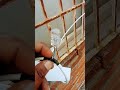 1 cable se 2 IP camera install setup #giridih