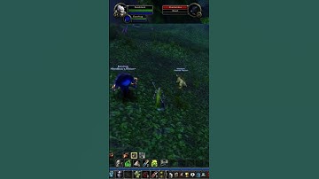 The Disappearing Puma Act #worldofwarcraft