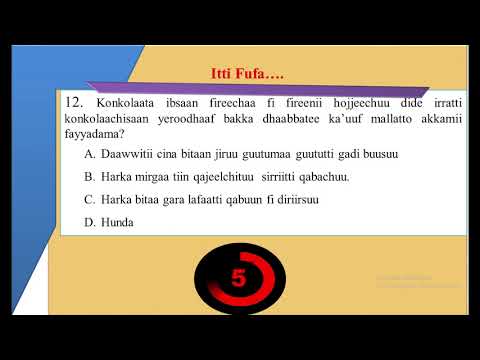 Qormaata Leenjii Konkolaachisummaa Kompitara Daree Marsaa Lammaffa