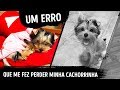 Minha Cachorrinha Sumiu E Me Deu Uma Lição De Vida