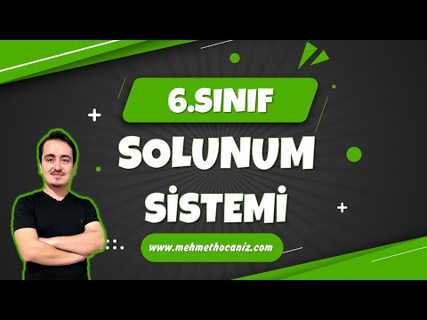 SOLUNUM SİSTEMİ | 6.SINIF